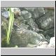 Video 5